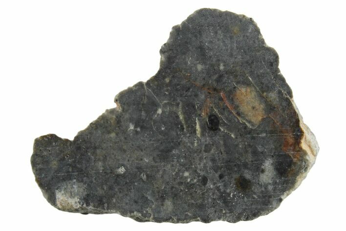 Lunar Meteorite ( g) Section - Bechar #348199